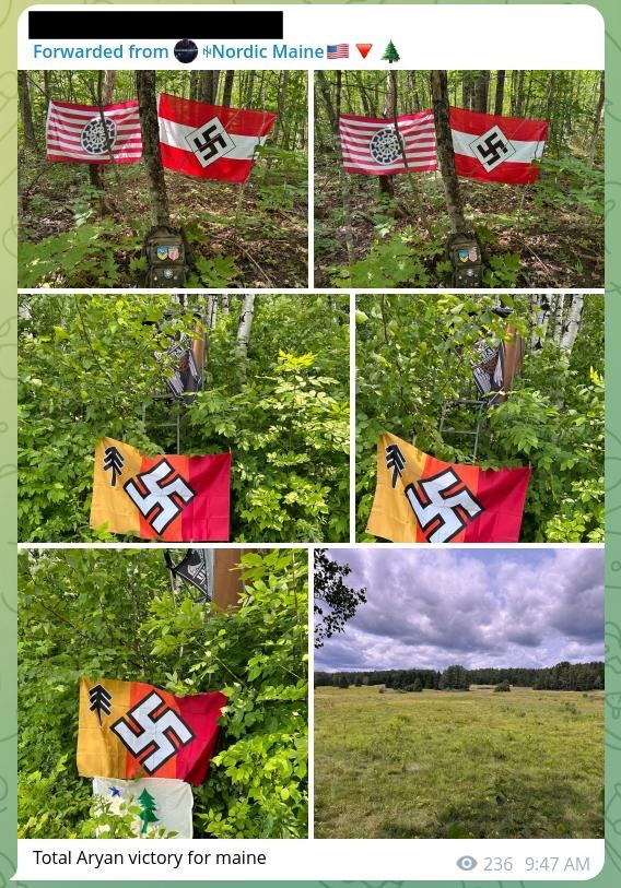 A Telegram post of a bunch of pictures of Ian's flags hung up in the forest. The last picture shows an open field with trees in the distance. The post says, "Total Aryan victory for maine."